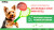 ZooRing Mini Young Dog Утка и рис с брокколи с глюкозамином и хондроитином для молодых собак мини пород ZooRing Mini Young Dog Утка и рис с брокколи с глюкозамином и хондроитином для молодых собак мини пород
