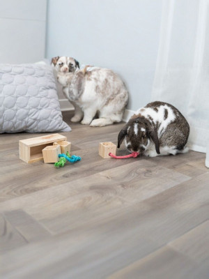 Trixie 62815 Игрушка для лакомств Куб, дерево, 16х6х7 см