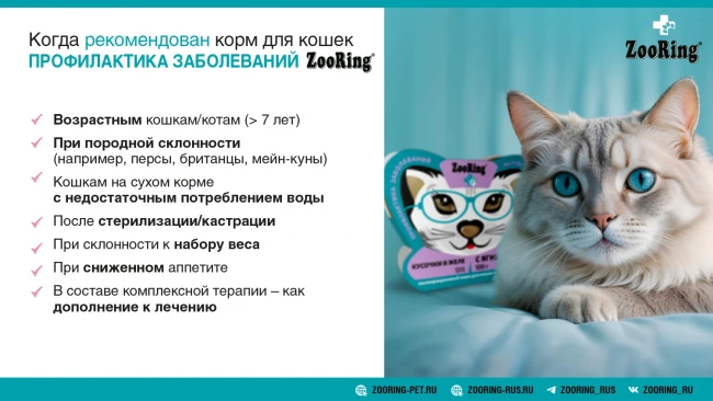 Полнорационный корм для кошек всех пород ZooRing Кусочки в желе с Индейкой для стерилизованных кошек и кастрированных котов 100 г x 10 шт Полнорационный корм для кошек всех пород ZooRing Кусочки в желе с Индейкой для стерилизованных кошек и кастрированных котов 100 г x 10 шт