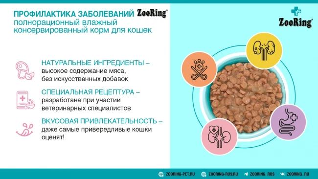 Полнорационный корм для кошек всех пород ZooRing Кусочки в желе с Индейкой для стерилизованных кошек и кастрированных котов 100 г x 10 шт Полнорационный корм для кошек всех пород ZooRing Кусочки в желе с Индейкой для стерилизованных кошек и кастрированных котов 100 г x 10 шт