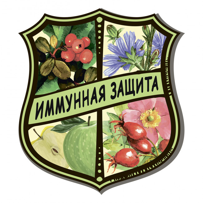 ZooRing Adult Cat Turkey&Salmon&Apples Berries индейка и лосось с яблоками