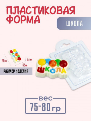Школа форма пластиковая для мыла и шоколада Школа форма пластиковая для мыла и шоколада