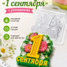 Форма для мыла и шоколада пластиковая 